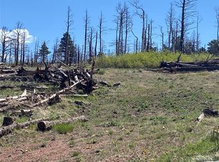 2142 Riccardo Ln, Fort Garland, CO 81133