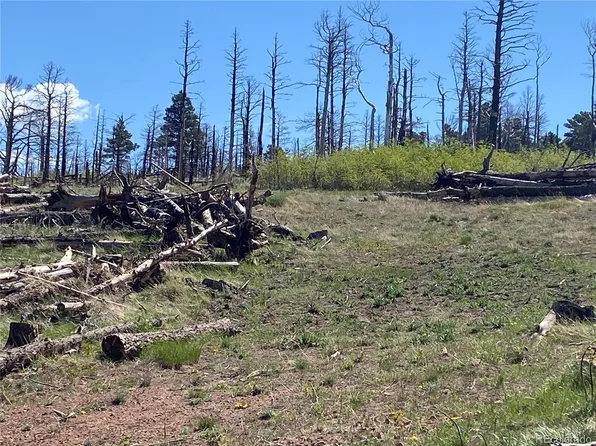 2142 Riccardo Lane, Fort Garland, CO 81133