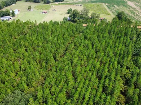 TRACT 2 A L Reeves Rd, Fitzgerald, GA 31750