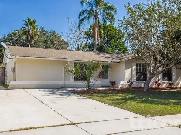 2308 Selkirk St, Valrico, FL 33594