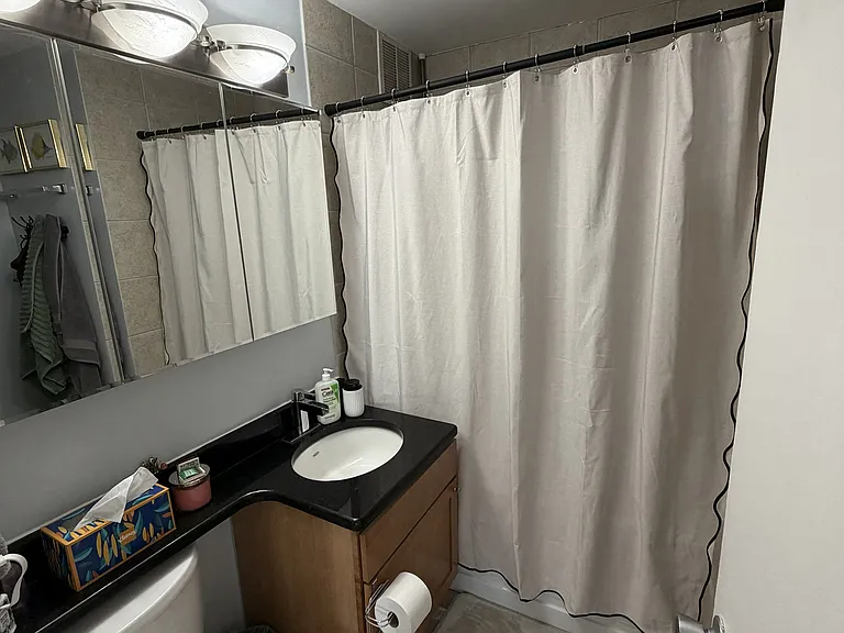 655 W Irving Park Rd #3815 — Photo 10