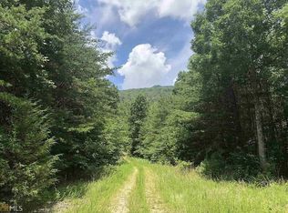 0 Newsome Gap Rd, Rising Fawn, GA 30738