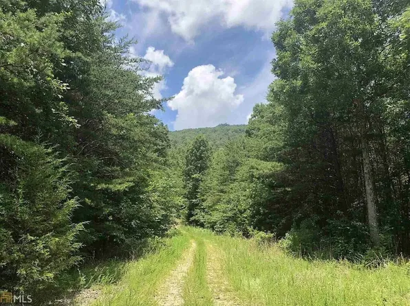 0 Newsome Gap Rd, Rising Fawn, GA 30738
