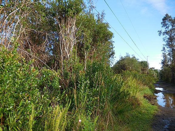 3rd image of Road 10 Poouli Lot 5804