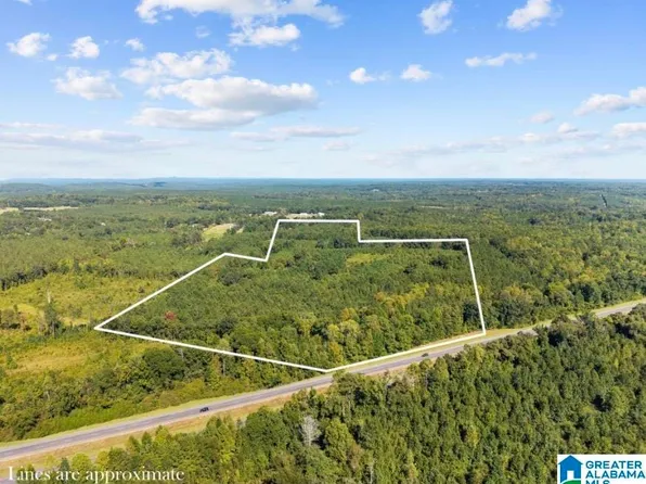 2257 Pinedale Rd, Clanton, AL 35046