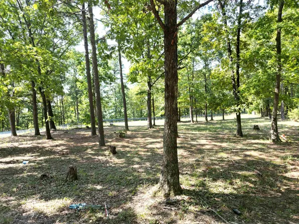 507 Henderson Rd, Clinton, AR 72031