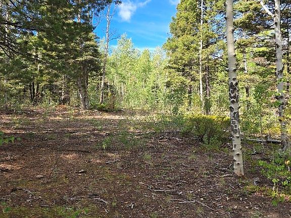 3rd image of 5878 Loubier Road LOT 5878