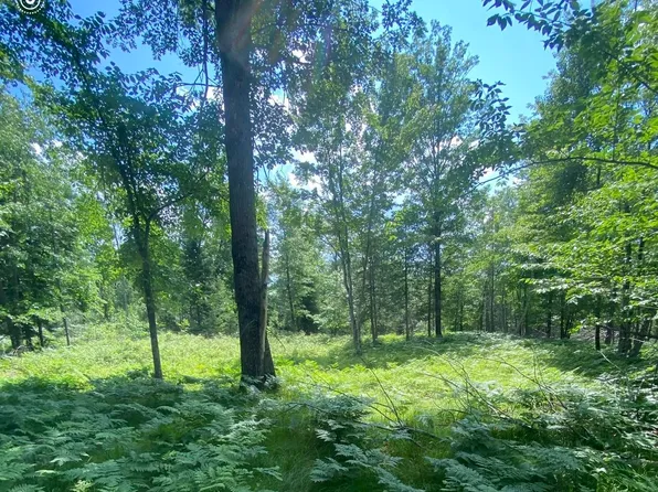 N4052 S 1st Dr, Wallace, MI 49893