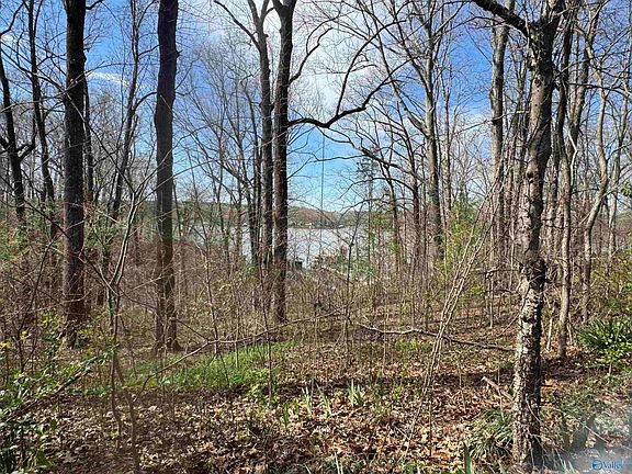 5th image of 18387 Dement Rd