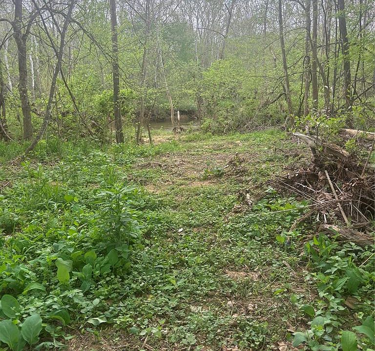 1st image of 1542 Madison 233