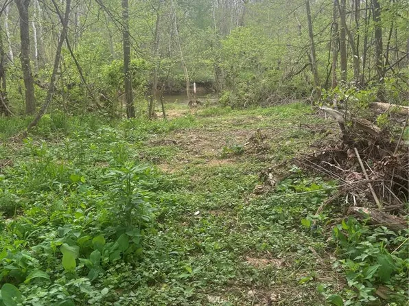 1542 Madison 233, Marquand, MO 63655