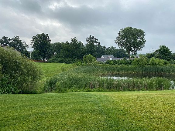 View of pond in back yard!