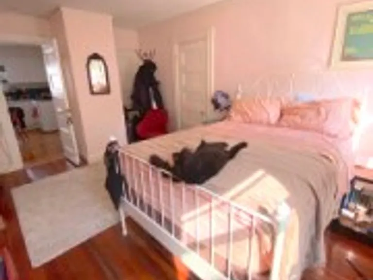 36 Brainerd Rd #2 — Photo 20