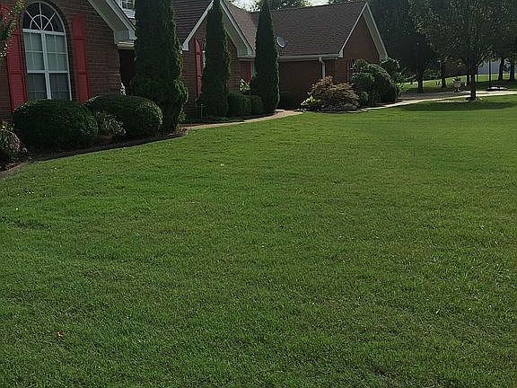 3rd image of 234 Elna Dr