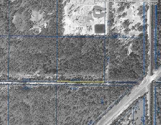 91st Fellsmere