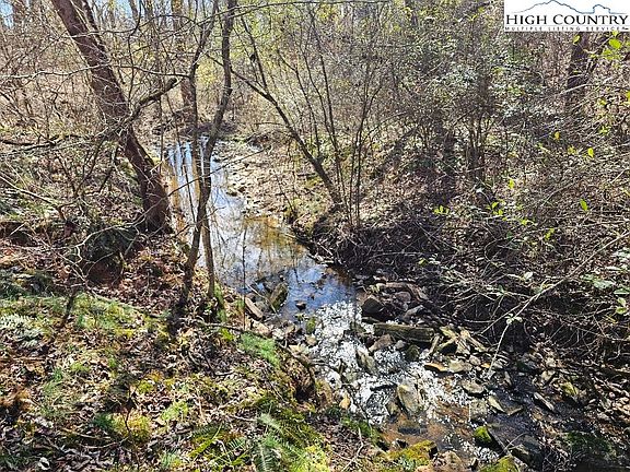 2nd image of 667 Pads Road