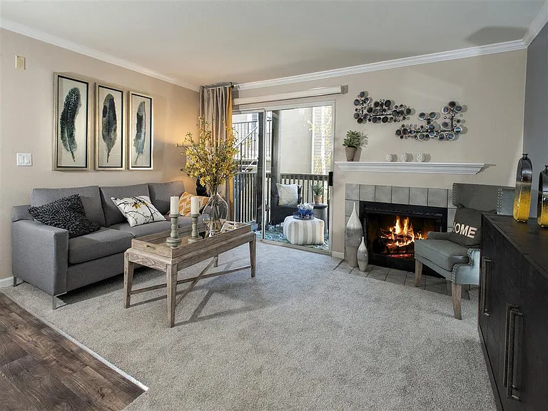 Mill Springs Park Apartment Homes — Photo 4