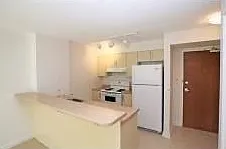 138 Somerset St W #1005 — Photo 9