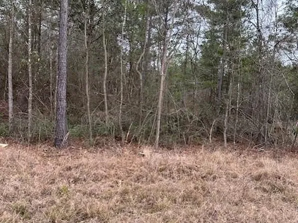 0 Salco Rd E, Axis, AL 36505