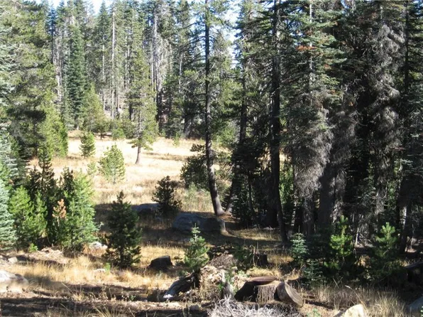 0 Sugar Pine Dr, Berry Creek, CA 95916