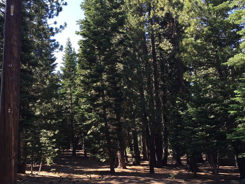 2nd image of 14356 Tyrol Rd.