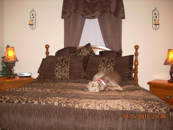 LARGE BEDROOMS