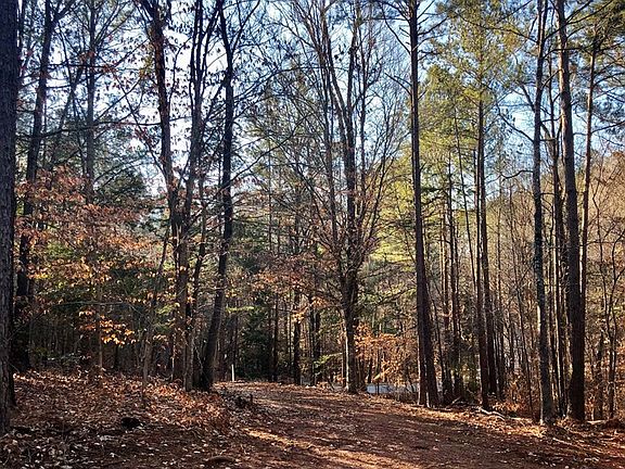 4th image of Lot 74 Buckhead