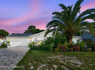 11003 Marysville St, Spring Hill, FL 34608