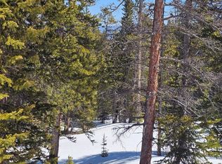 318 El Lobo Lane, Fairplay, CO 80440
