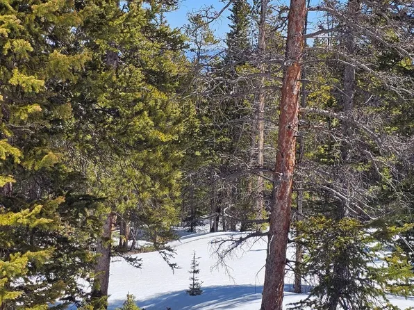 318 El Lobo Lane, Fairplay, CO 80440