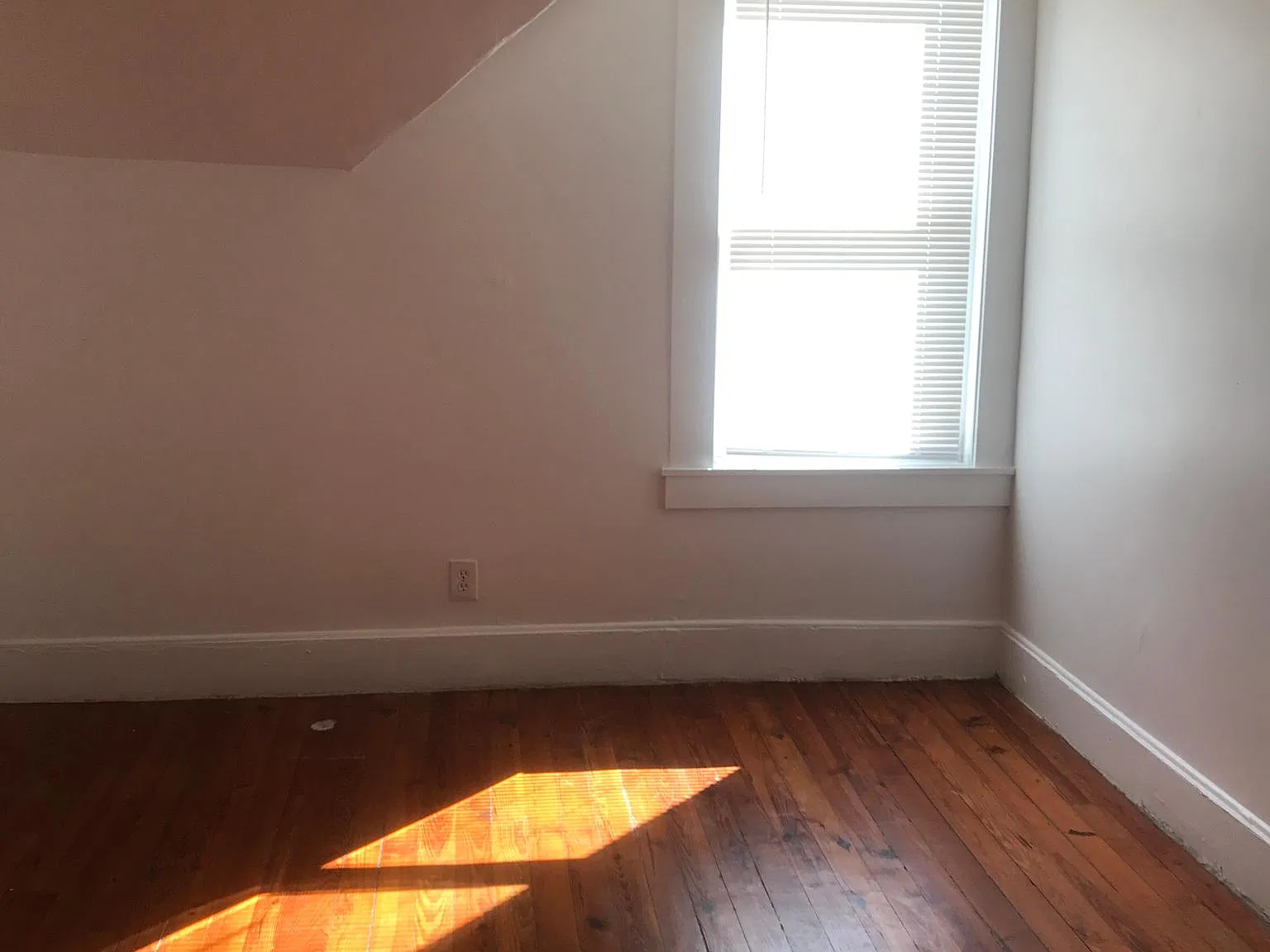 2 bed, 800 sqft, $1,400 — Photo 4