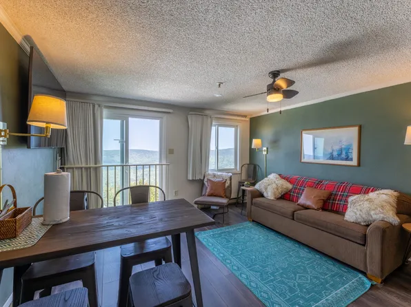 75 Mountain Lodge Ln Unit 376, Slatyfork, WV 26291
