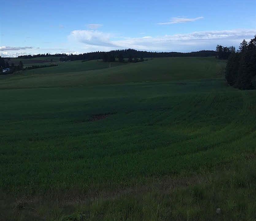 2nd image of Tbd Meridian Rd