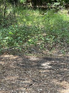 0 Ranchland Dr, Grand Cane, LA, 71032