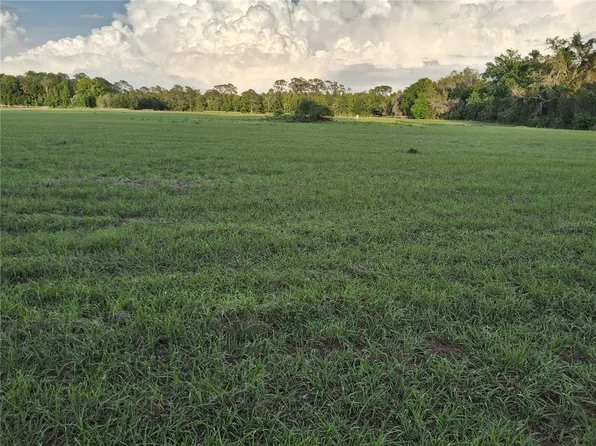 1613 NE 12th Ave, Sumterville, FL 33585