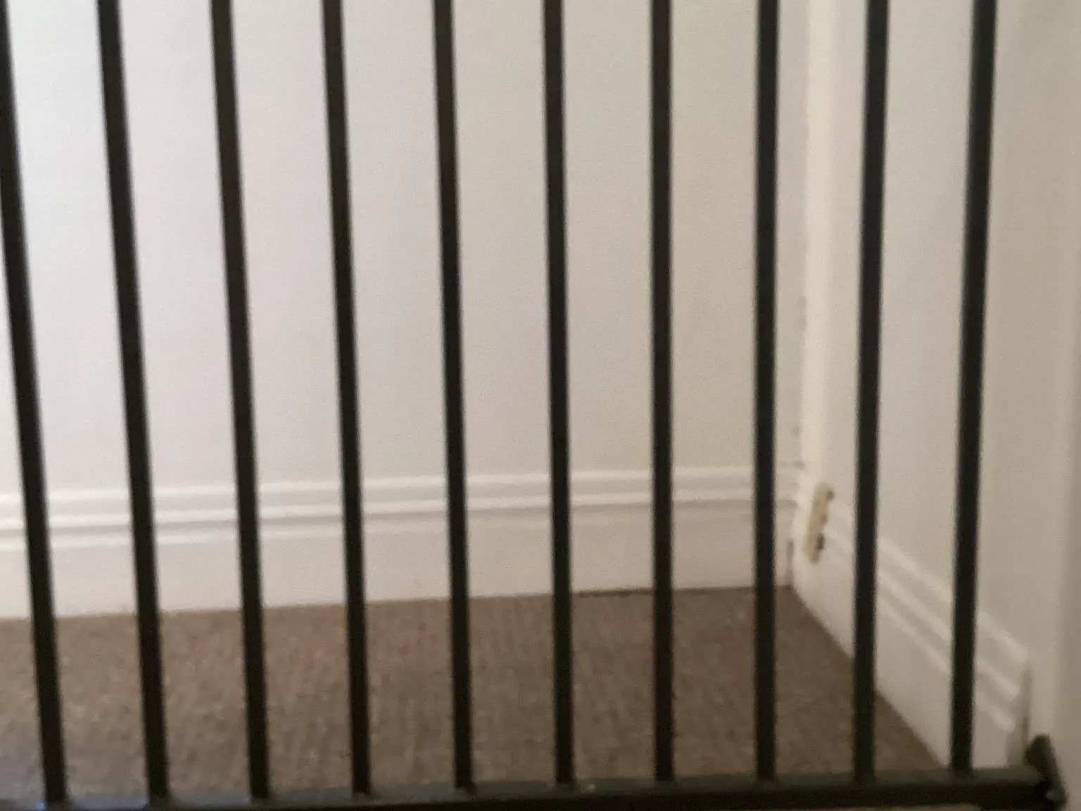 1 bed, 525 sqft, $1,400 — Photo 2