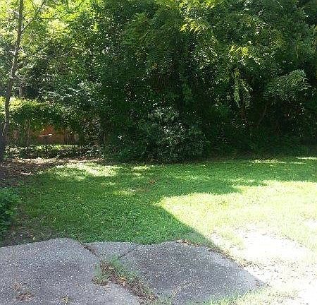 back yard