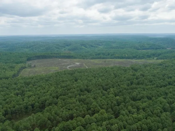 Coal Valley Rd, Townley, AL 35587