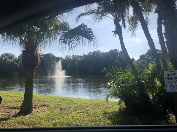 2721 5th Ct, Palm Harbor, FL