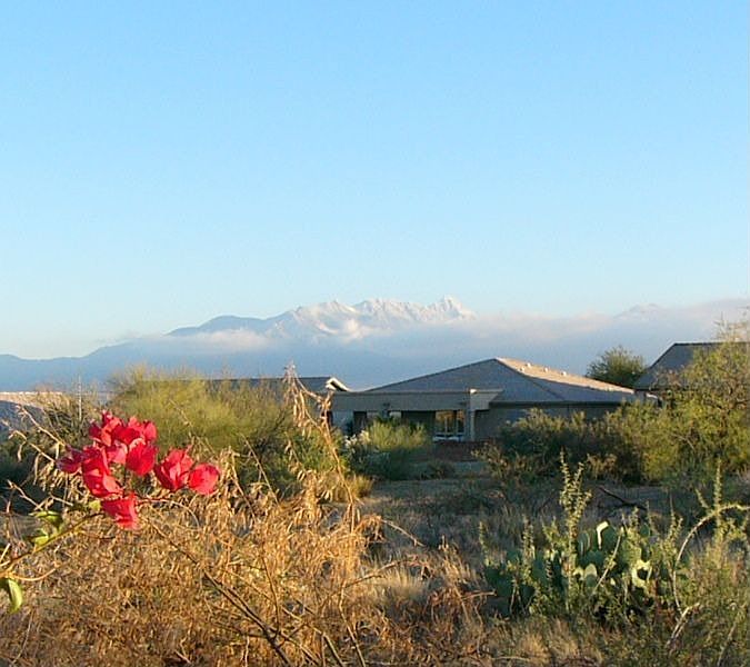 View from back patio