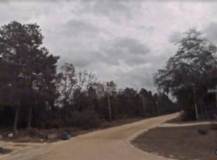 0 Wallace St #223, Interlachen, FL 32148