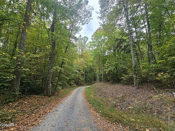 5th image of 1011 Bluebird Ridge Way Lot 10/11