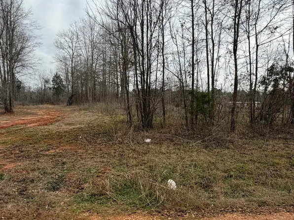 LOT 2 Sunny Meadows Blvd, Tyler, TX 75708