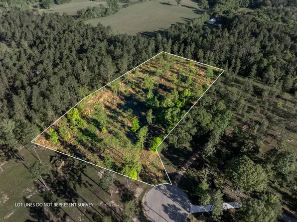 23 McBriar, Purvis, MS 39475