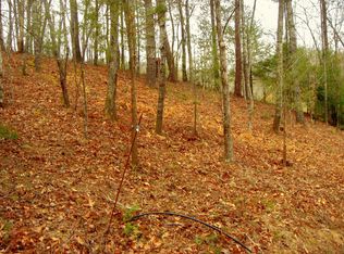 115 Sunshine Way, Townsend, TN 37882