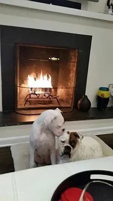 Rented by Corcoran | media 34