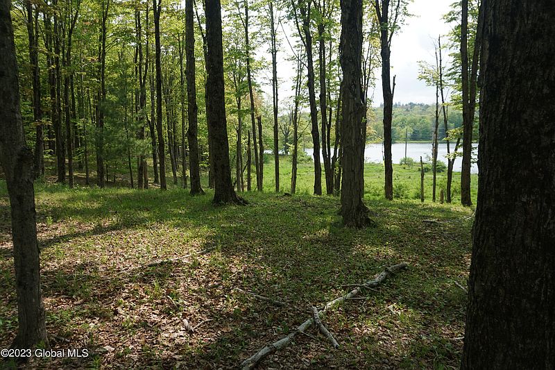 4th image of 89 Thunder Hill Road