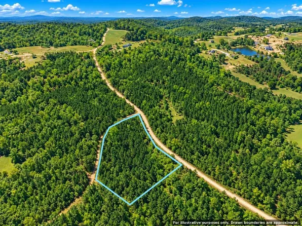 3 Grant Rd, Vina, AL 35593