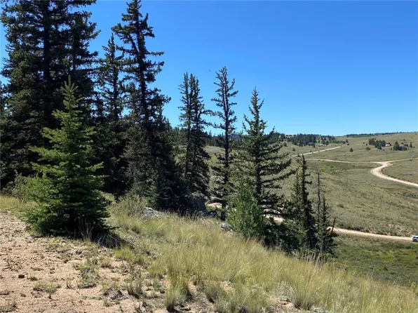 38 Travois Ct, Como, CO 80432