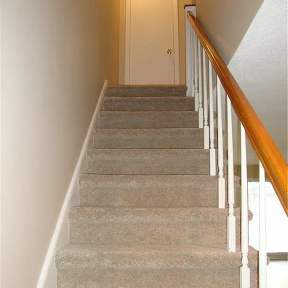 101 Oxford Pl #4 — Photo 6